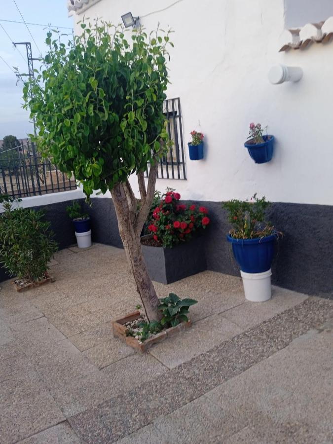 La Cueva De Guadix Villa Екстериор снимка